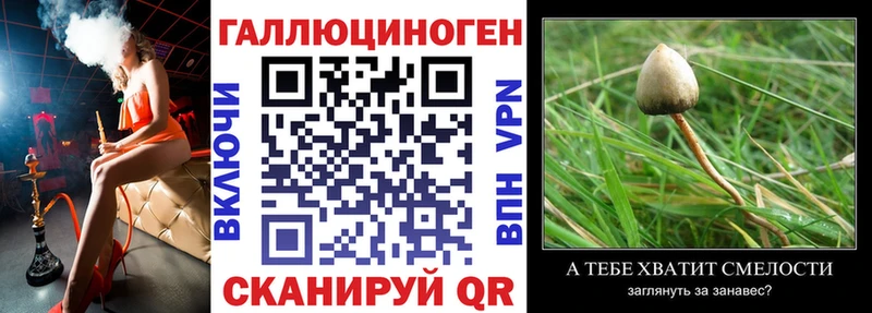 Галлюциногенные грибы MAGIC MUSHROOMS  omg как войти  Нягань 